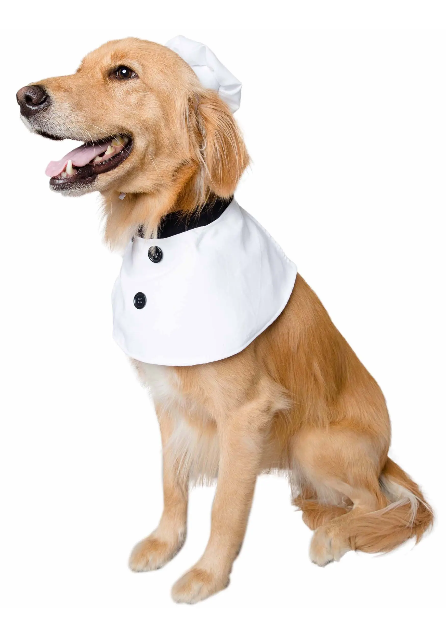 Chef Costume For Pets - Image 3