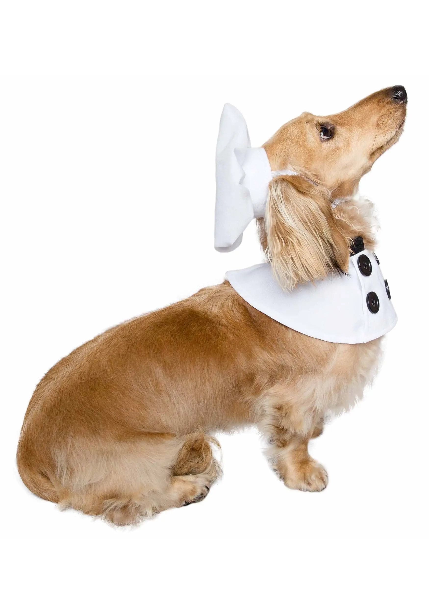 Chef Costume For Pets - Image 4