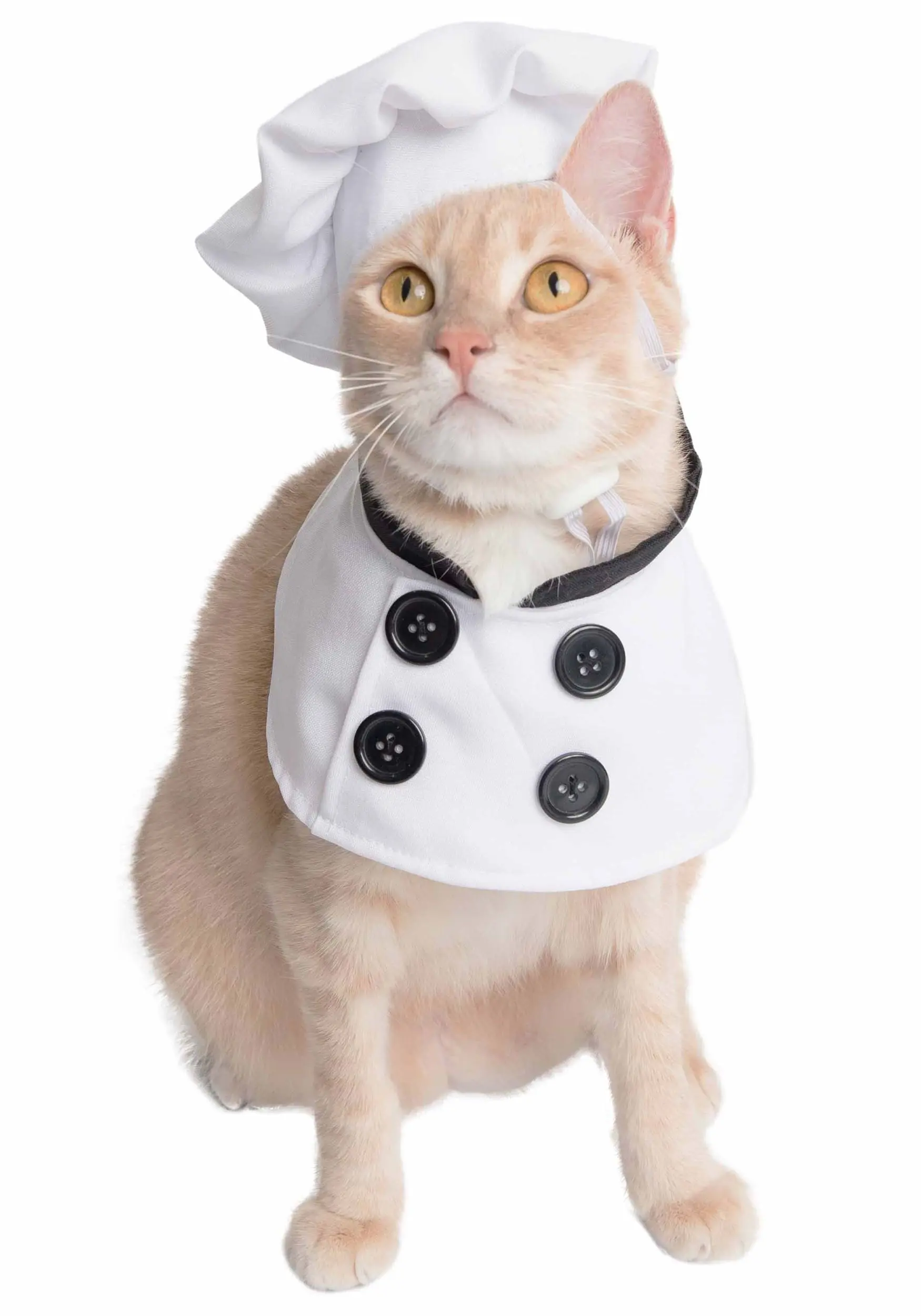 Chef Costume For Pets - Image 5