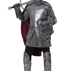 Royal Knight Costume For Men
