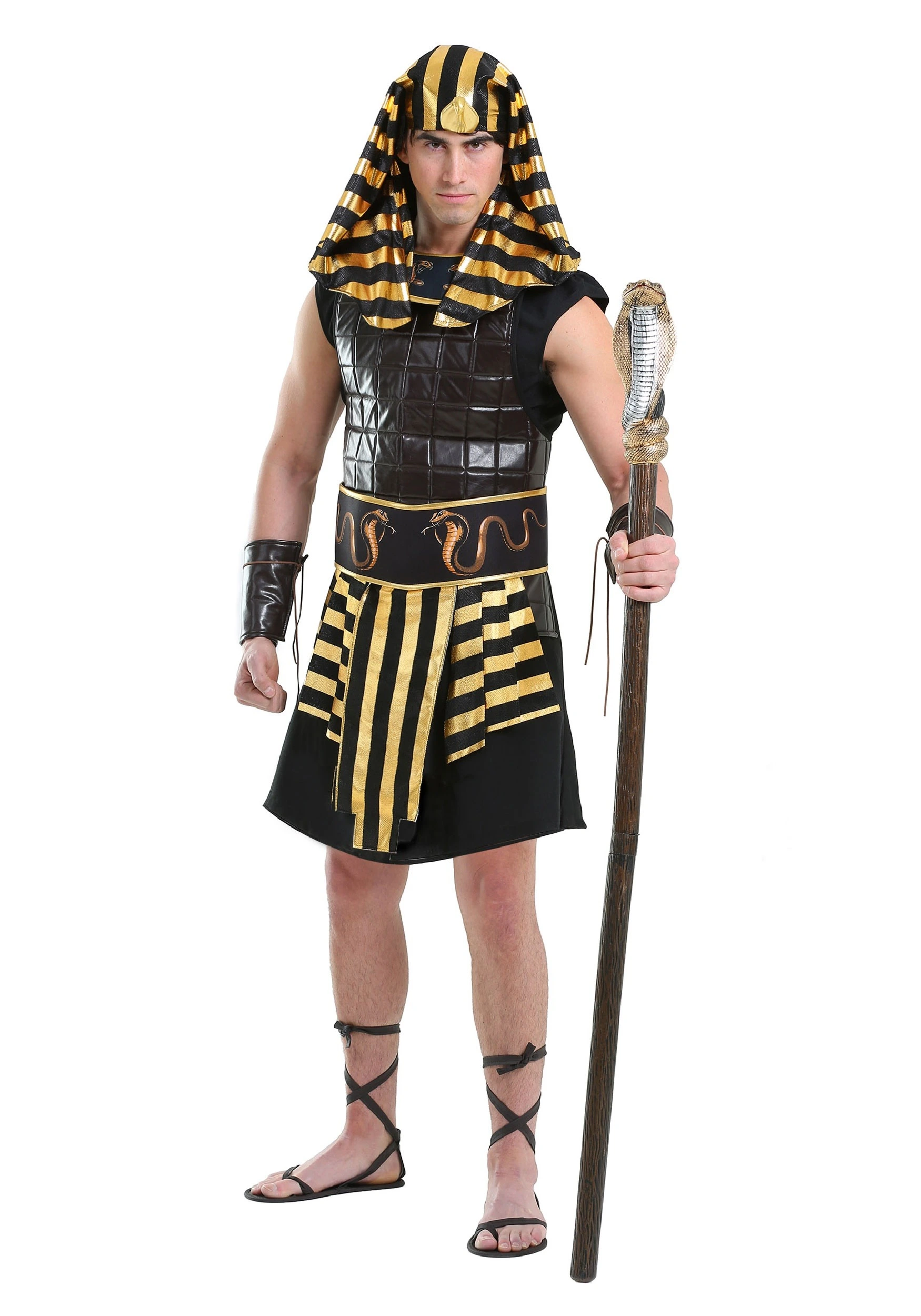 Ancient Pharaoh Plus Size Costume