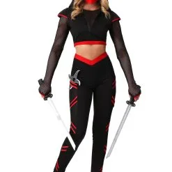 Alluring Assassin Costume For Women